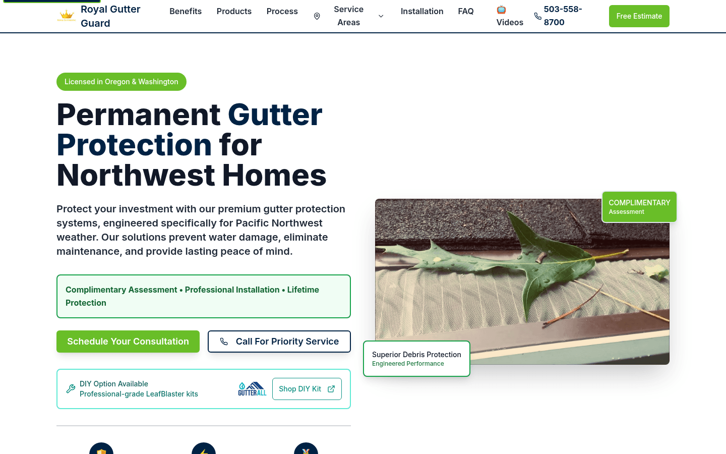 Screenshot of the live Royal Gutter Guard website homepage